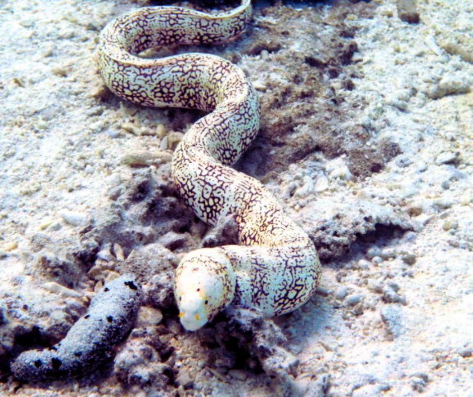 Resort Tava'E Amuri Esterno foto