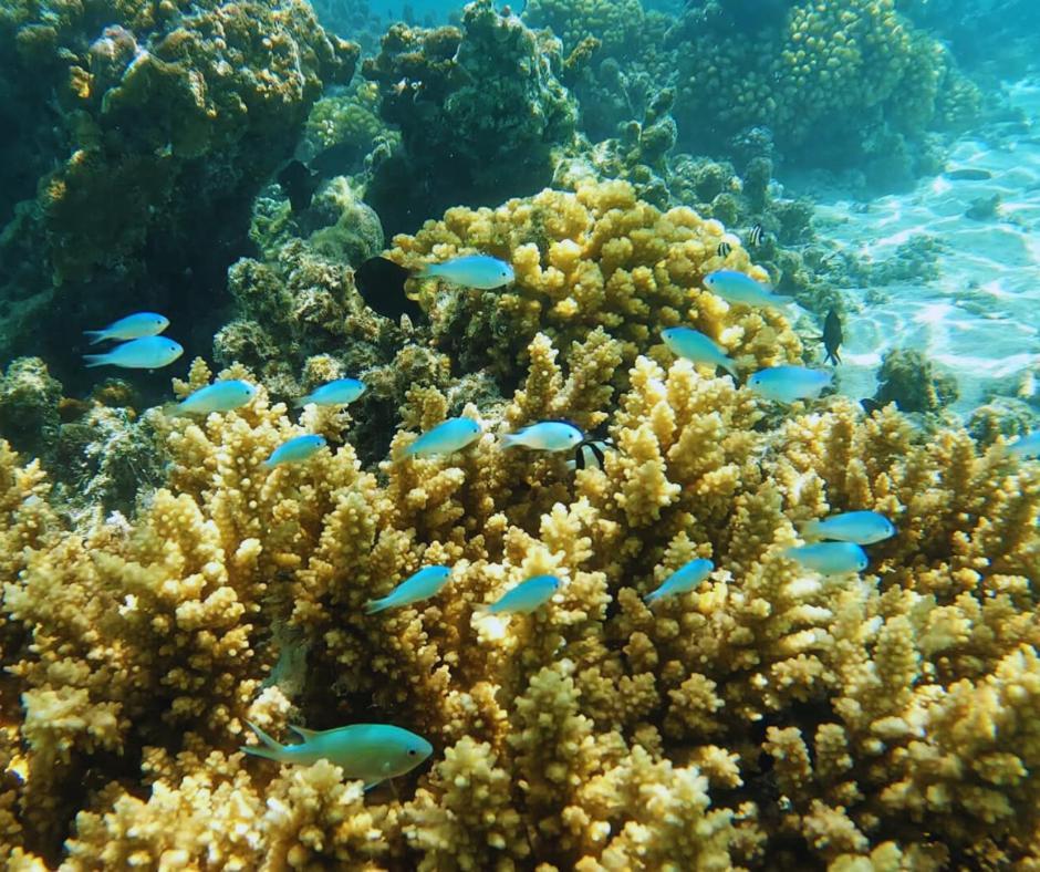 Resort Tava'E Amuri Esterno foto