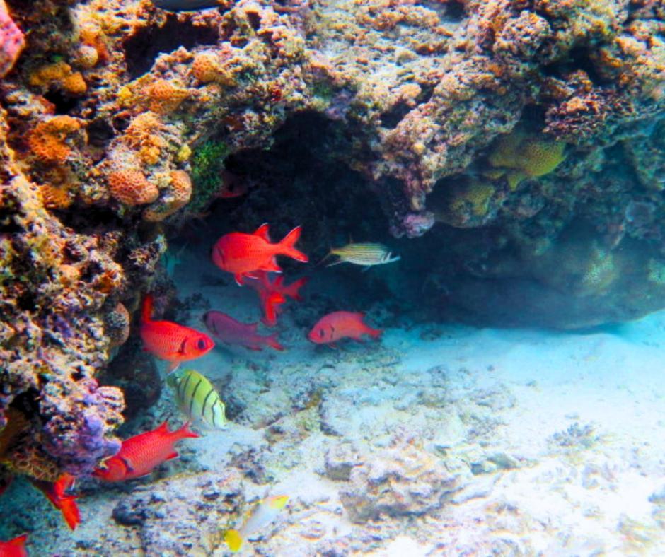Resort Tava'E Amuri Esterno foto